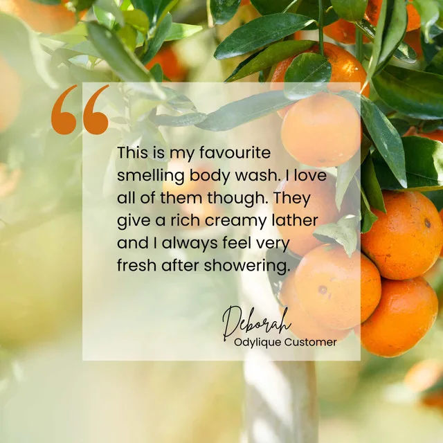Odylique Ylang Ylang & Orange Hand & Bodywash 3